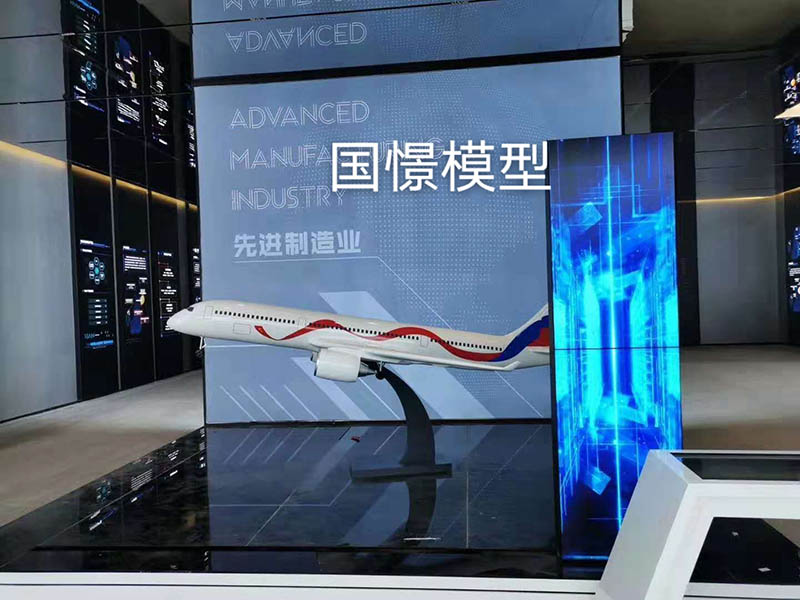 定安县飞机模型